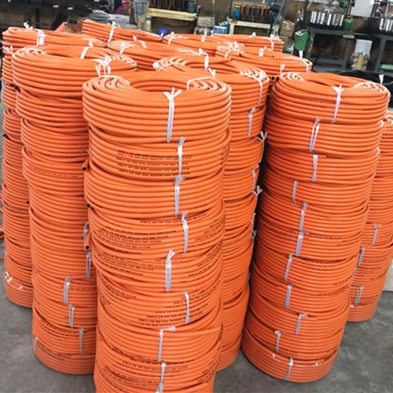 Flexível Laranja 50ft/100ft resistente ao desgaste W. P 20bar 10mm Laranja GNL Gas Hose