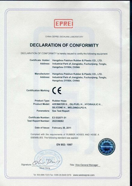 China Hangzhou Paishun Rubber &amp; Plastic Co., Ltd Certificações
